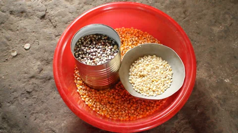 Corn and bean seeds Stock Footage 28669688