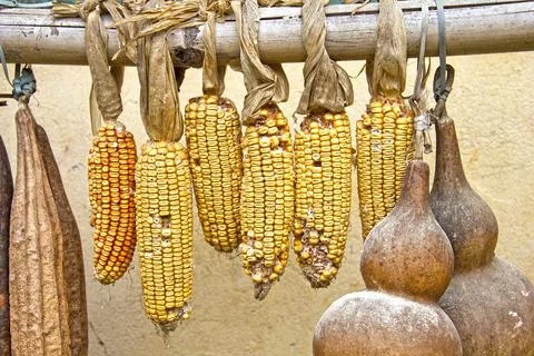 Corn and calabash fruit drying Foto stock