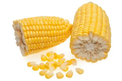 Corn and grains Stock Photos