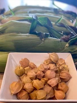 Corn and Ground Cherries Stock Photos