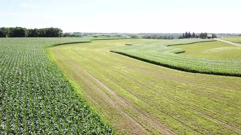 Corn and hay feed crops on mid-west family farm 3. Stock-Footage 92055033