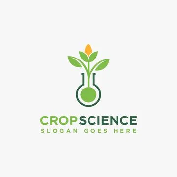 Corn and laboratory beaker logo icon vector illustration on white background Stock Illustration