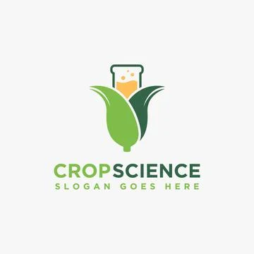 Corn and laboratory beaker logo icon vector illustration on white background 스톡 일러스트