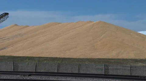 Corn and milo grain stockpiled, 4K. Video stock 68827438