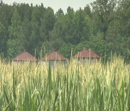 Corn and silos 動画素材 667666