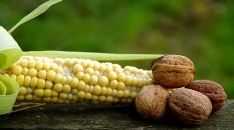 Corn and walnuts on wooden table Stock-Footage 41920591