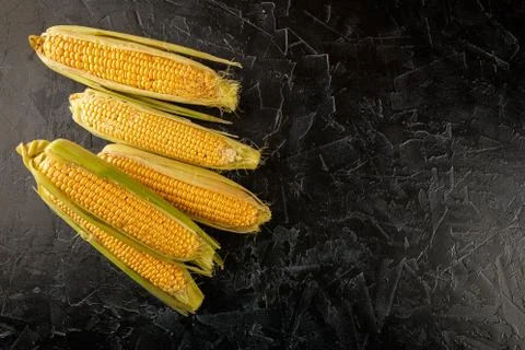 Corn and wheat spikes Stock Photos