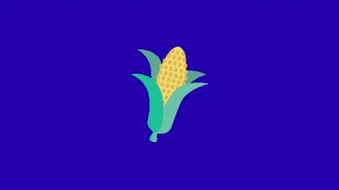 Corn animation on blue background 库存影片 333151016