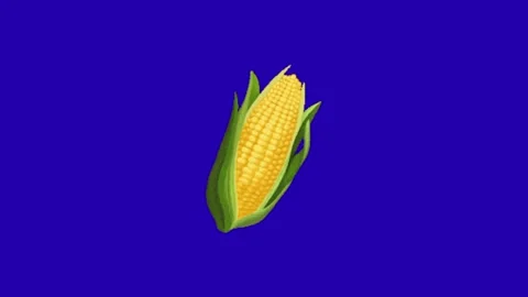 Corn animation on blue background Vidéo 333151017