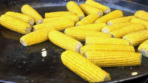 Corn are boiled in water in a cauldron in 4K. Stock Footage 123916322
