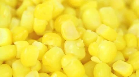 Corn Background Stock Footage 10760334
