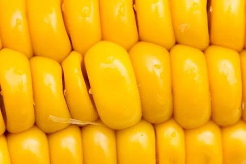 Corn as background. macro Stock Photos