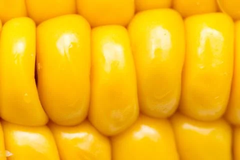 Corn as background. macro Stock Photos