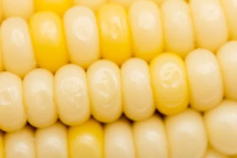 Corn as background. macro Stock Photos