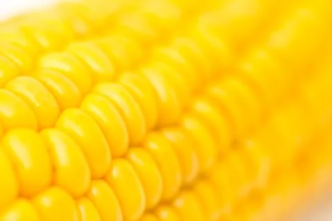 Corn as background. macro Stock Photos