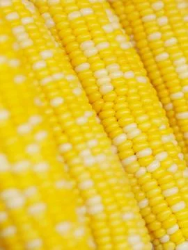 Corn background Foto stock