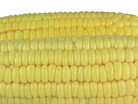 Corn background Stock Photos