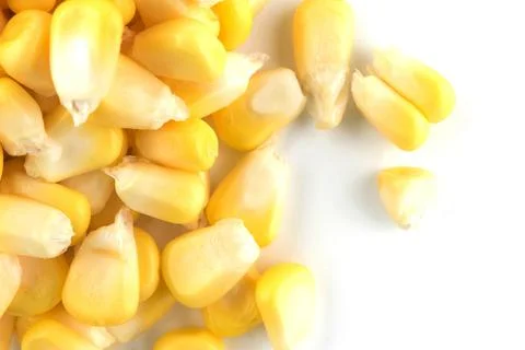 Corn background 스톡 사진