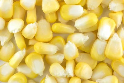 Corn background Stock Photos