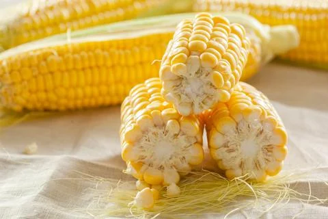Corn background Stock Photos