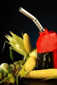 Corn Based Fuel Stock Photos