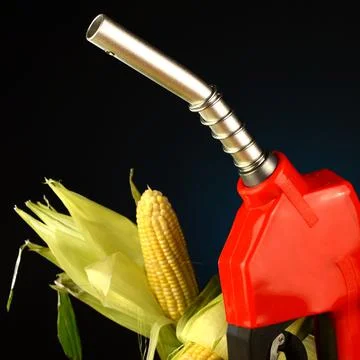 Corn Based Fuel Stock Photos