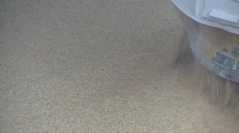 Corn being loaded into a ship 2 Stock Footage 23426341