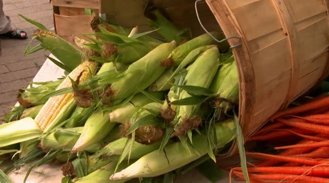 Corn in Bin at Farmers Market Vidéo 41963884