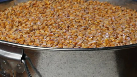 Corn Biofuel Stock Footage 1060809