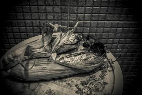 Corn in Black and White Stock Photos