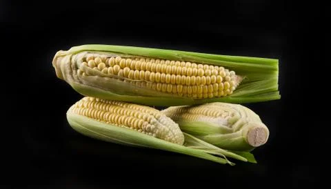 Corn on a black background Stock Photos