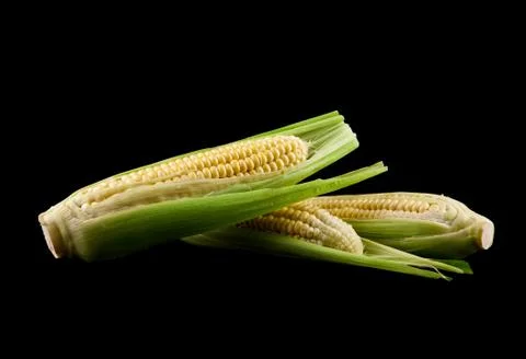 Corn on a black background Stock Photos