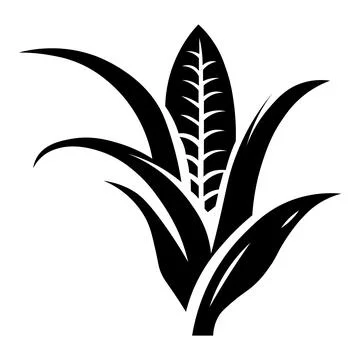 Corn black vector icon on white background Stock Illustration