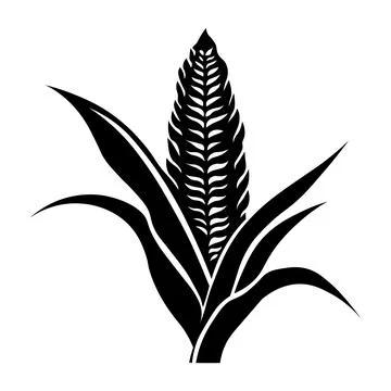 Corn black vector icon on white background Stock Illustration