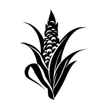 Corn black vector icon on white background Stock Illustration