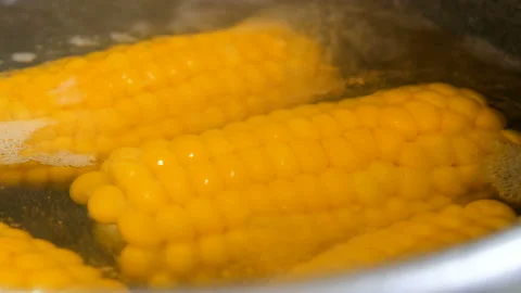 Corn Boil in water into pans, Boiling sweet corn Stock Footage 156738912