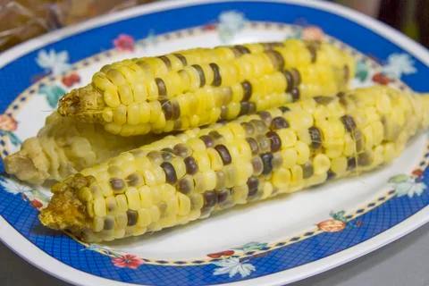 Corn boiled in a plate Stock Photos