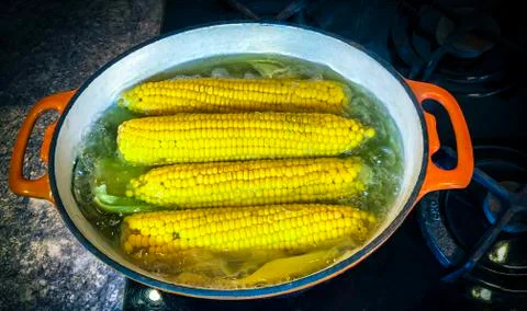 Corn is boiled in a saucepan Stock Photos