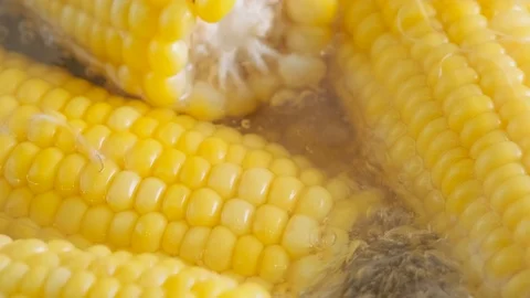 Corn boiling in hot water Video stock 120806615