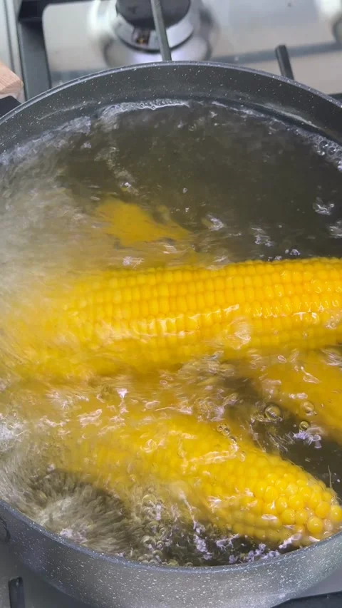 Corn Boiling in Pot Stock Footage 319021265
