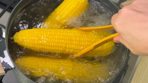 Corn Boiling Process Stock Footage 319021305