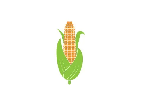 Corn, breakfast, food. Vector illustration, flat design. Stock Illustration