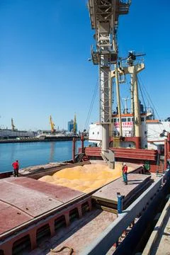 Corn in bulk carrier hold. Casting hold of corn. Elevator crane loads ship bu Stock Photos