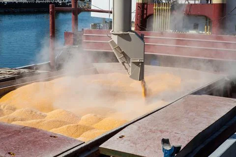 Corn in bulk carrier hold. Casting hold of corn. Elevator crane loads ship bu Stock Photos