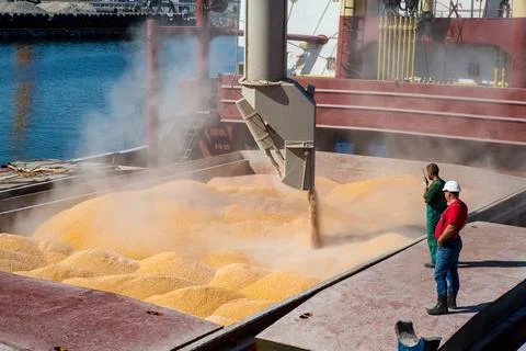 Corn in bulk carrier hold. Casting hold of corn. Elevator crane loads ship bu Stock-Fotos