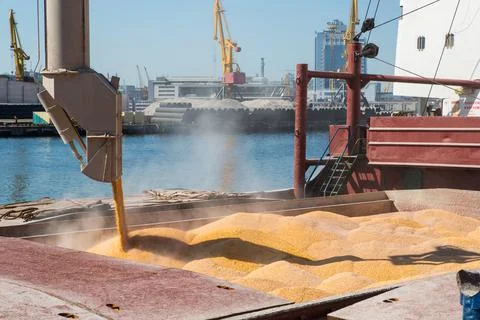 Corn in bulk carrier hold. Casting hold of corn. Elevator crane loads ship bu Stock Photos