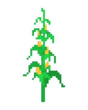 Corn bush pixel art. 8 bit Vector illustration Stock-Illustration