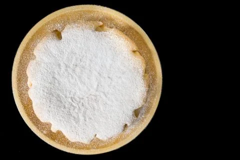 Corn cake. Cake with flour corn fioretto Stock Photos