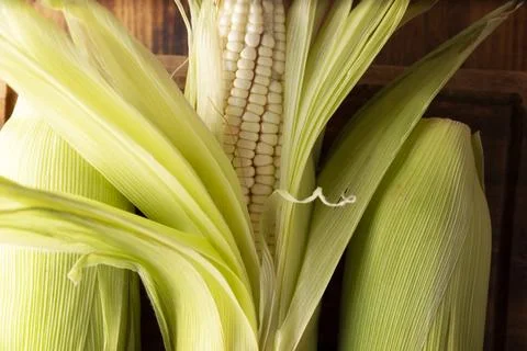 Corn, is the cereal with the highest production in the world, widely used in  Stock Photos