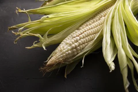 Corn, is the cereal with the highest production in the world, widely used in  Stock Photos